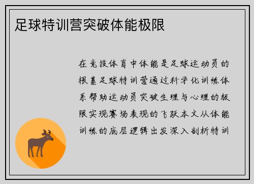 足球特训营突破体能极限
